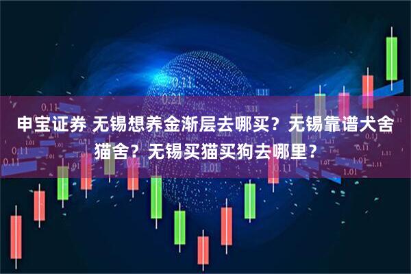 申宝证券 无锡想养金渐层去哪买？无锡靠谱犬舍猫舍？无锡买猫买狗去哪里？