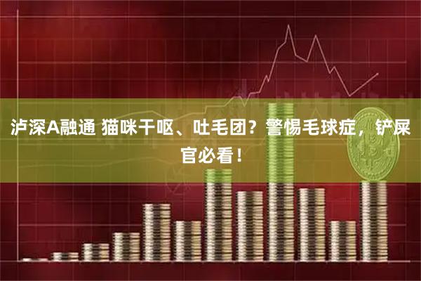 泸深A融通 猫咪干呕、吐毛团？警惕毛球症，铲屎官必看！