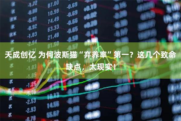 天成创亿 为何波斯猫“弃养率”第一？这几个致命缺点，太现实！