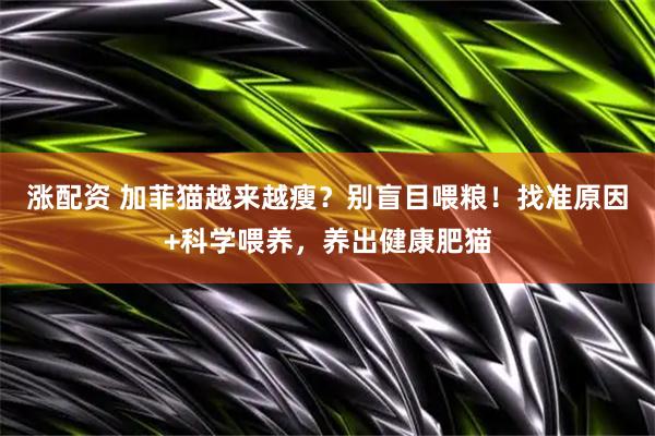 涨配资 加菲猫越来越瘦？别盲目喂粮！找准原因+科学喂养，养出健康肥猫