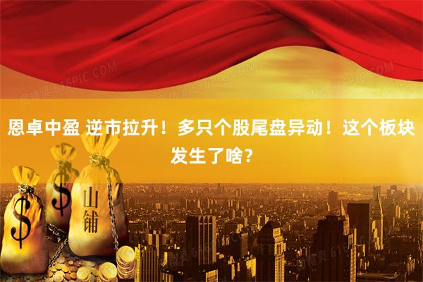 恩卓中盈 逆市拉升！多只个股尾盘异动！这个板块发生了啥？