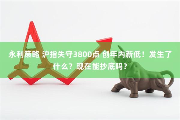 永利策略 沪指失守3800点 创年内新低！发生了什么？现在能抄底吗？