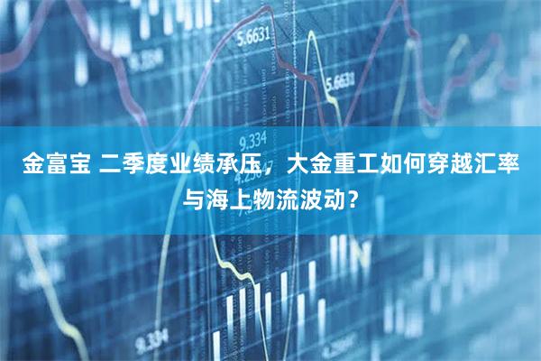 金富宝 二季度业绩承压，大金重工如何穿越汇率与海上物流波动？