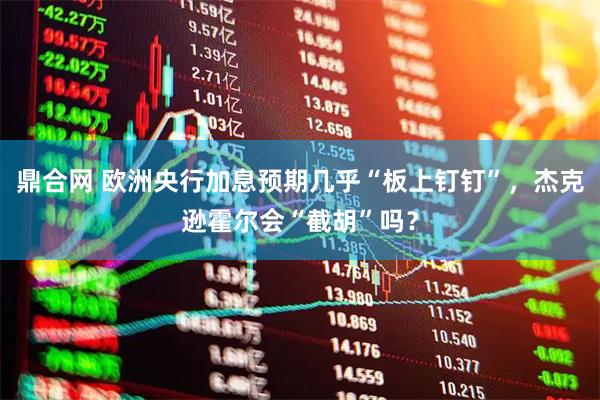 鼎合网 欧洲央行加息预期几乎“板上钉钉”，杰克逊霍尔会“截胡”吗？